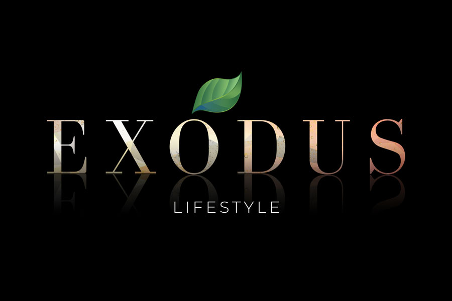 Lifestyle logo creation