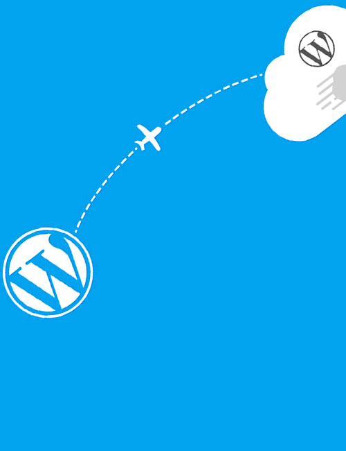 Website Transfers